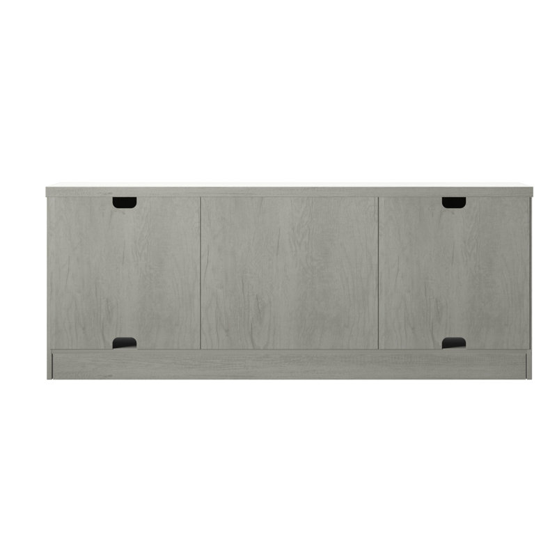 Laurel Foundry Modern Farmhouse Guadalupe TV Stand for TVs up to 65